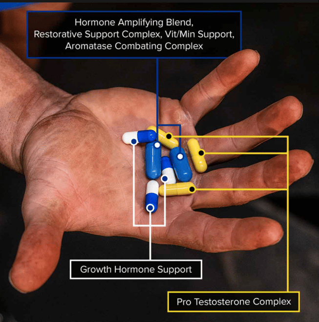 Animal Stack - Imagen 3