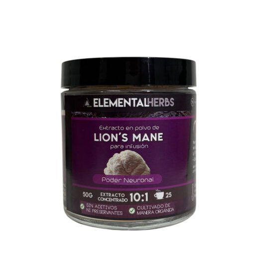 Lion’s Mane Extracto 10:1